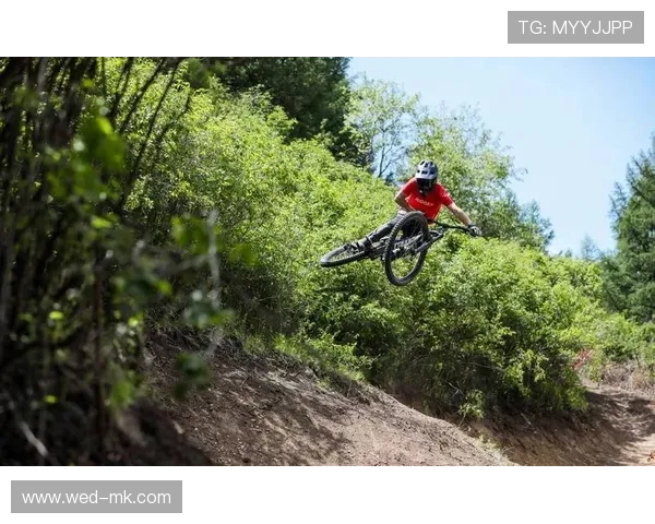 青少年山地自行车赛挑战自然赛道考验技术，青少年山地自行车品牌排行